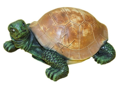 Design Turtle Figure Statue Sculpture Figures Sculptures Garden Decoration